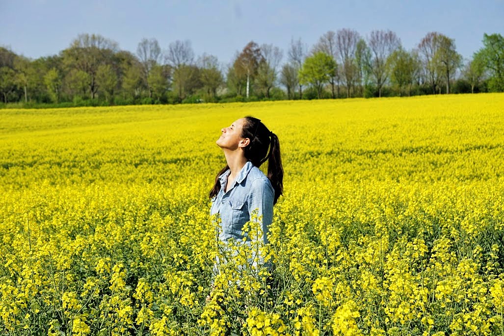 Explore the Magic of “Cut Your Own Flower” Fields in Germany 🌷