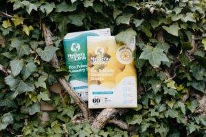 Germans Love Sustainability